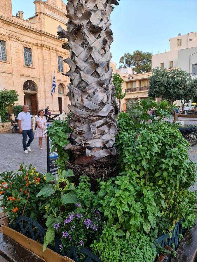 Nikolas * Chania (Crete)